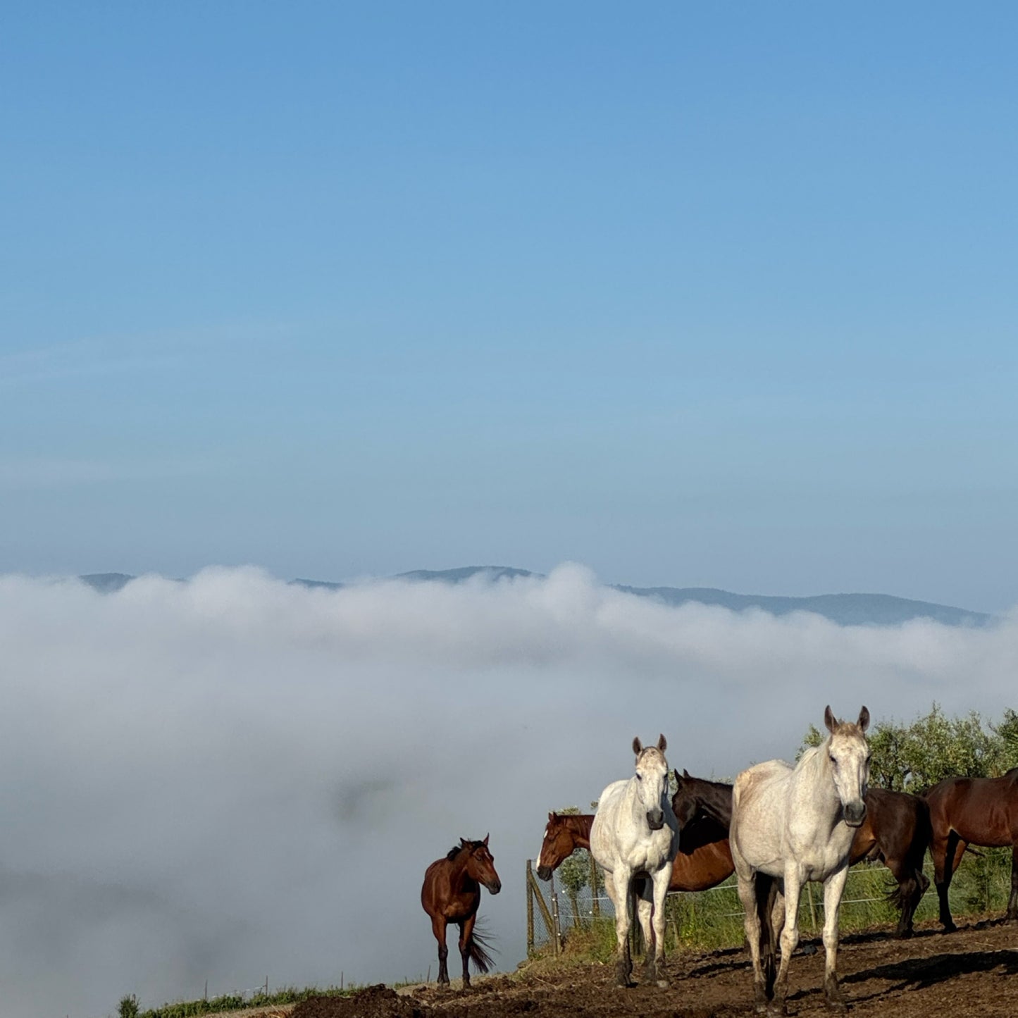 Hike your mind in Tuscany | 11–18 May | RESERVATION
