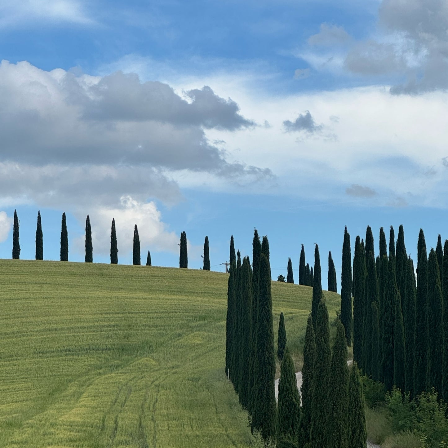 Hike your mind in Tuscany | 11–18 May | RESERVATION