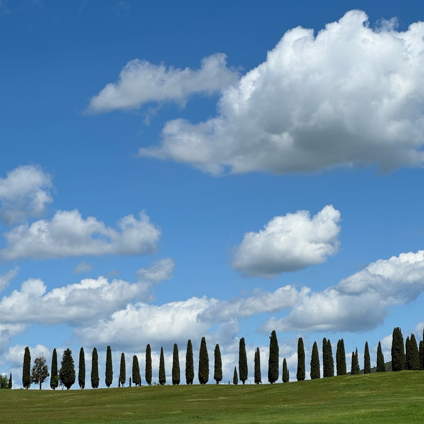 Hike with your love in Tuscany | March 23-29 | RESERVATION