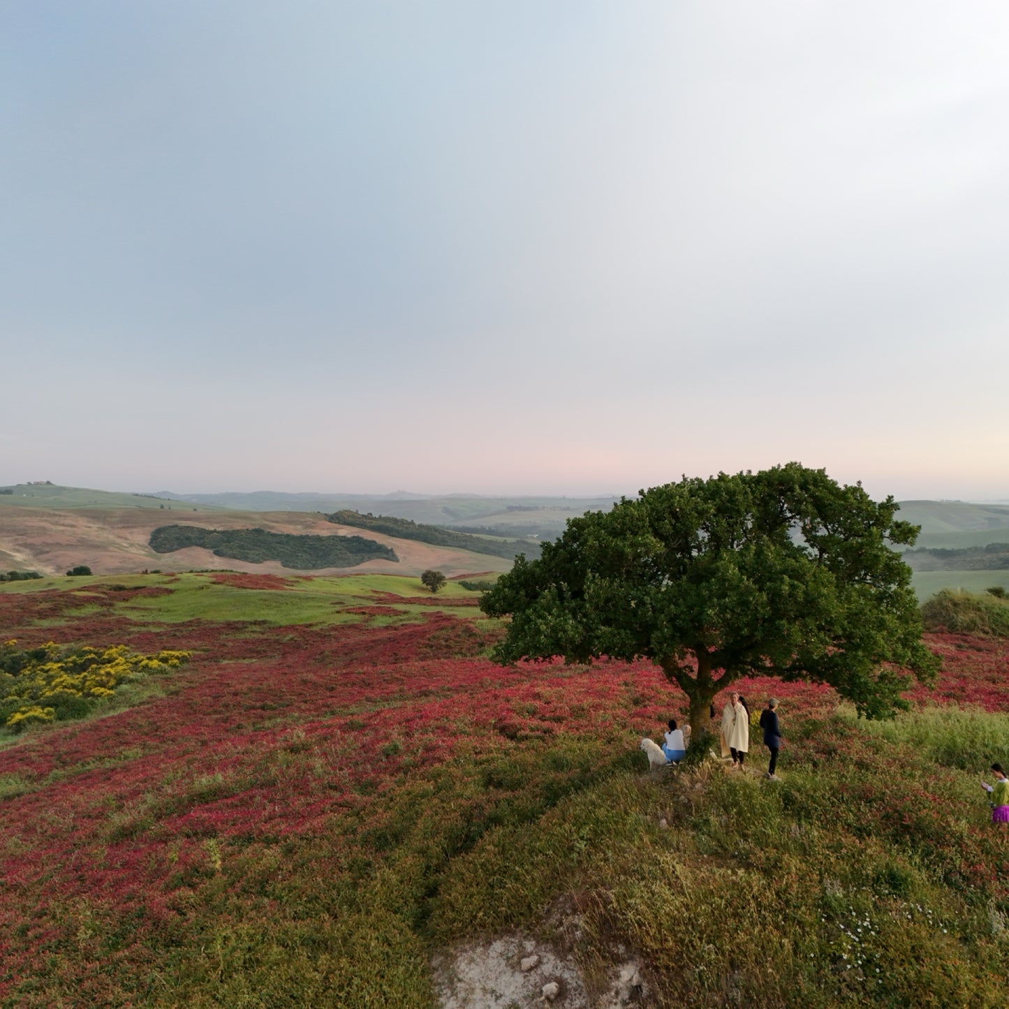 Hike your mind in Tuscany | 11–18 May | RESERVATION