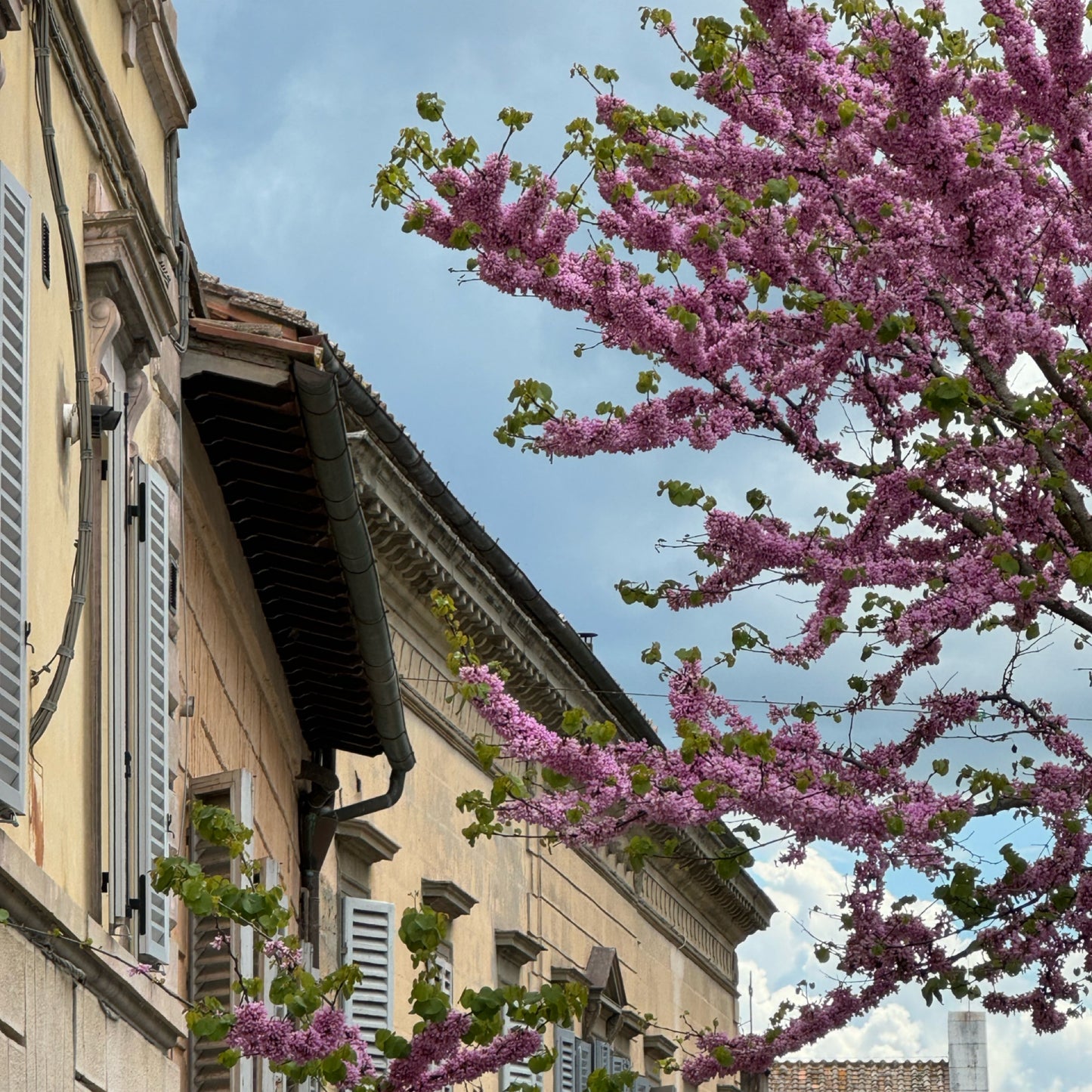 Hike with your love in Tuscany | March 23-29 | RESERVATION