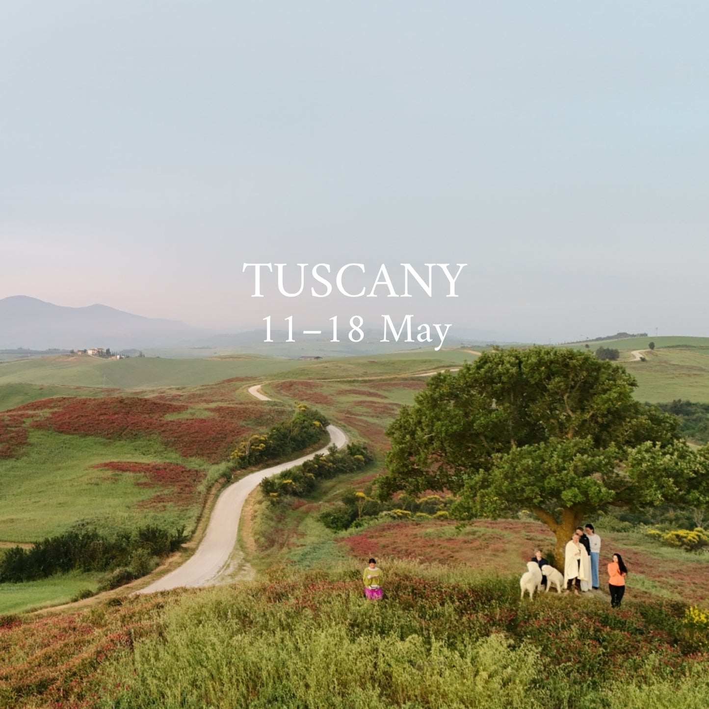 Hike your mind in Tuscany | 11–18 May | RESERVATION
