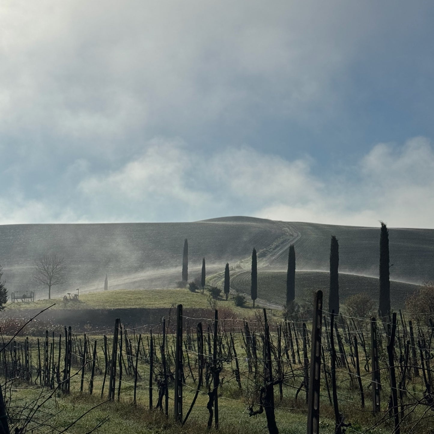 Hike your mind in Tuscany | November 16-23 | RESERVATION