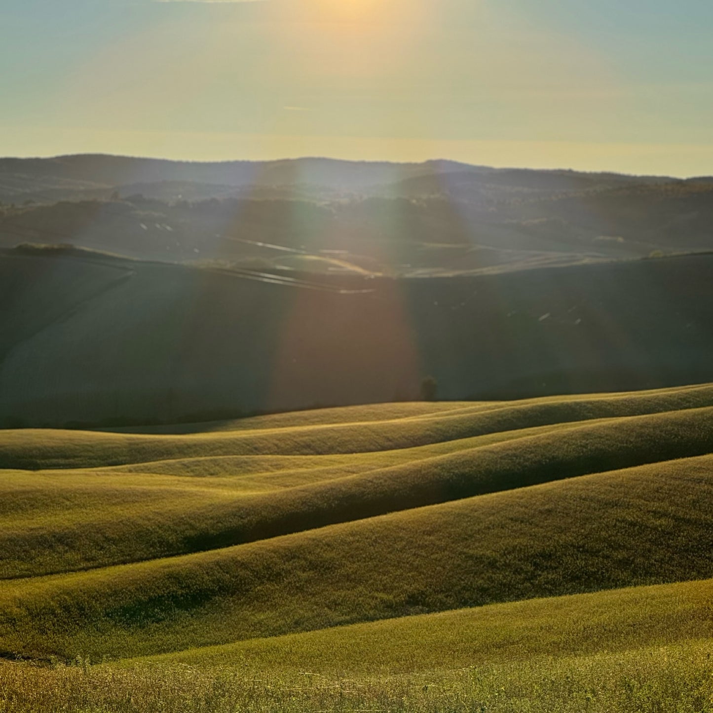 Hike your mind in Tuscany | November 17-24 | RESERVATION