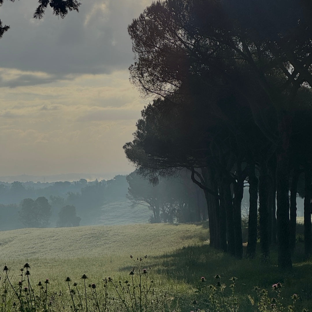 Hike your mind from Tuscany to Rome | April 19- May 1, 2027| RESERVATION