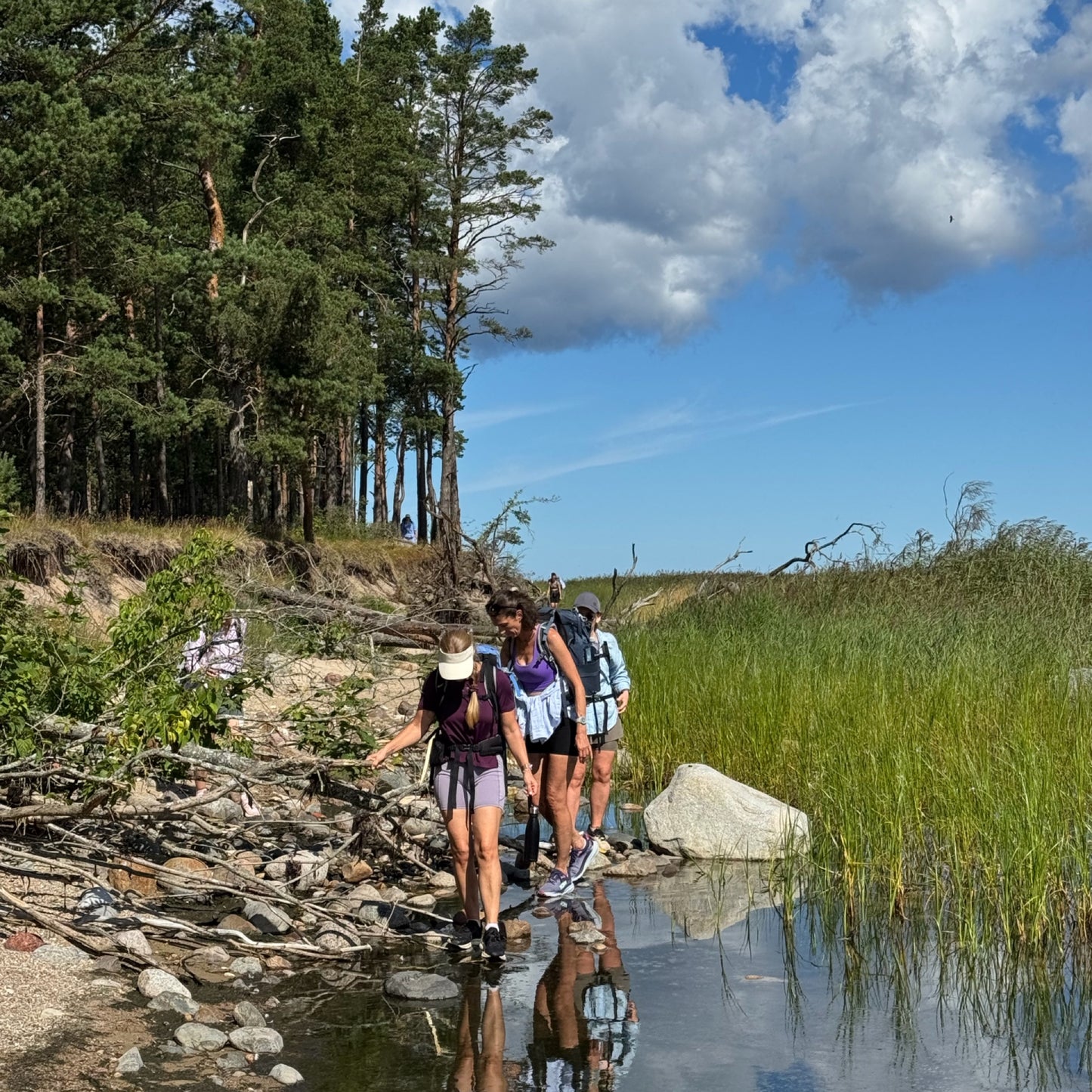 HIKE YOUR MIND at night | July 18-19 |