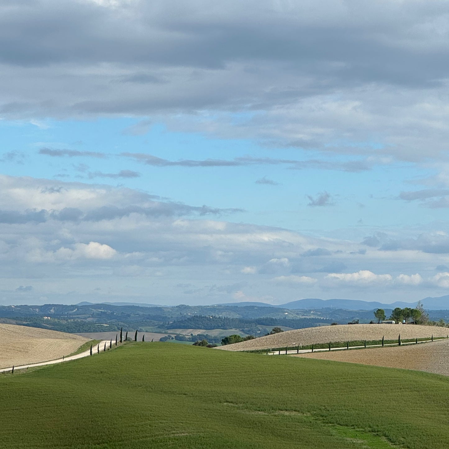 HIKE YOUR MIND & Jānis Višķers Running Adventure in Tuscany