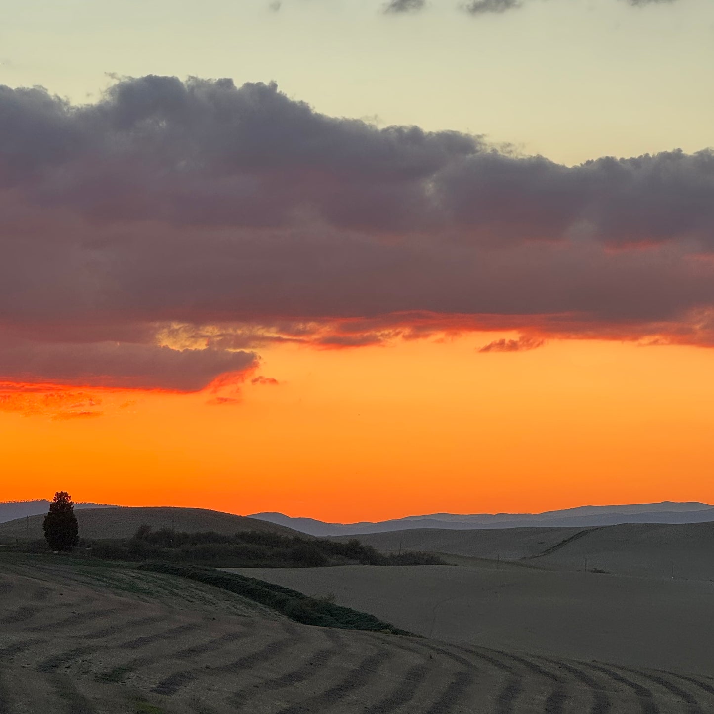 HIKE YOUR MIND & Jānis Višķers Running Adventure in Tuscany