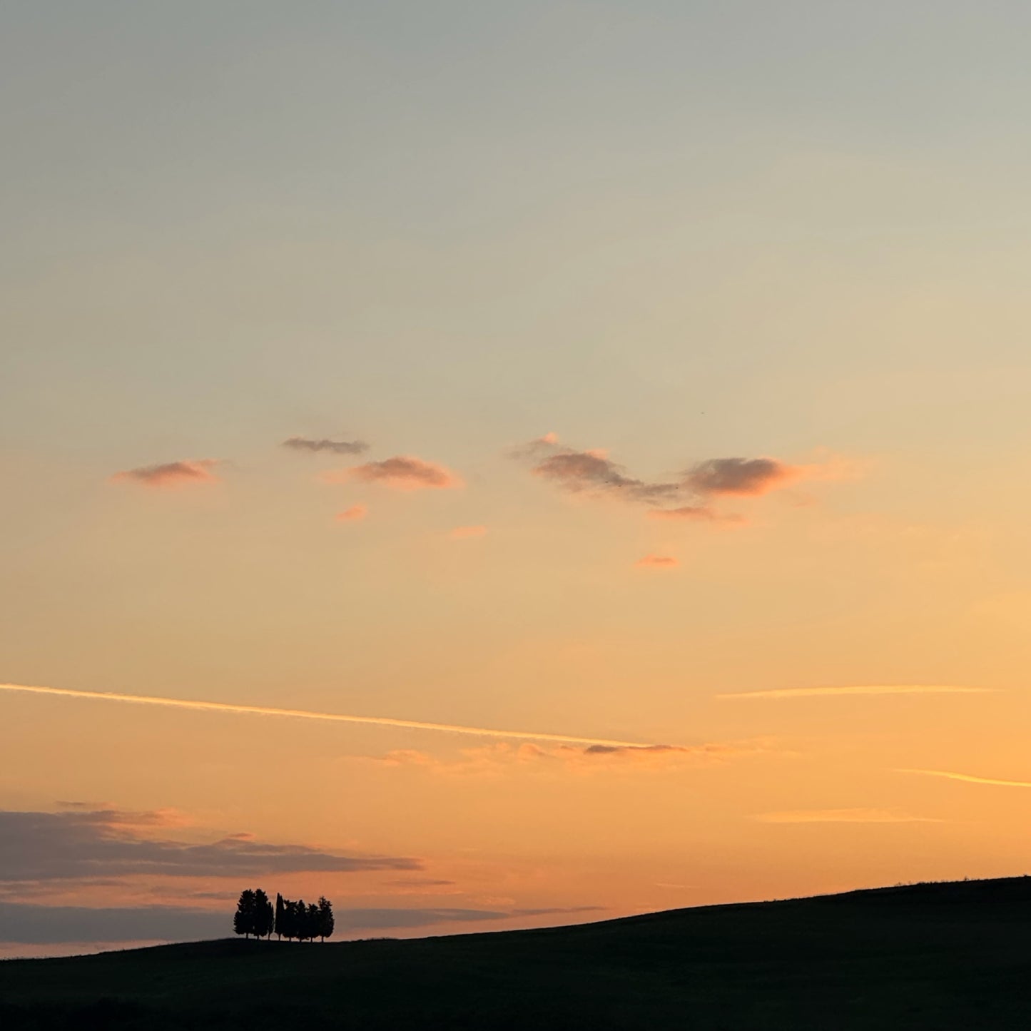 Hike your mind in Tuscany INTERNATIONAL | 19-26 October | RESERVATION