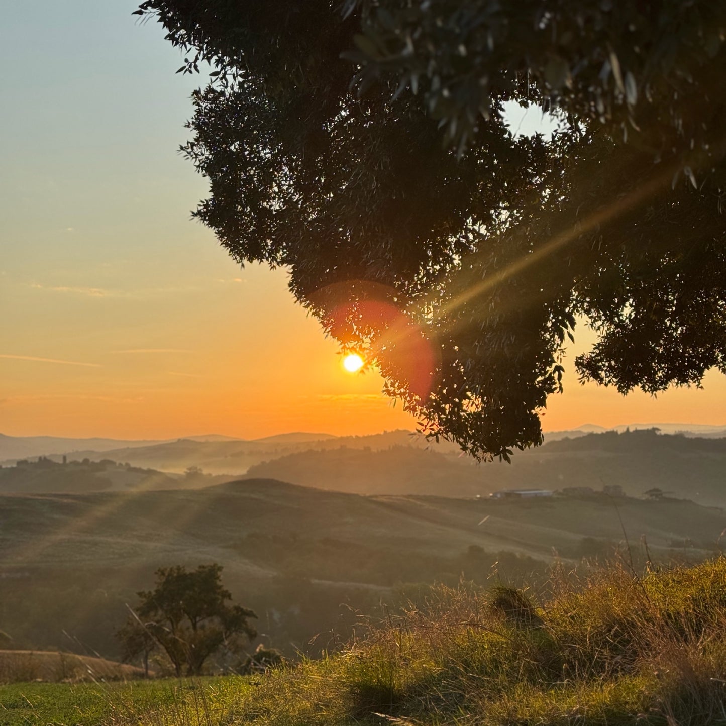 Hike your mind in Tuscany INTERNATIONAL | 19-26 October | RESERVATION