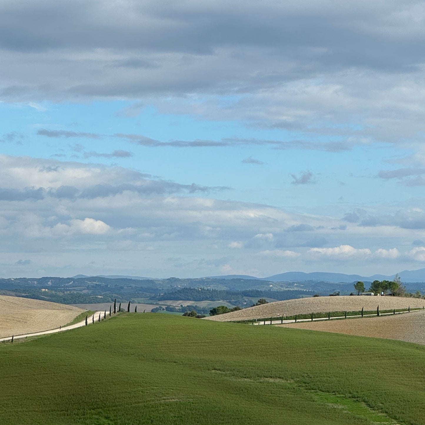 Hike your mind in Tuscany INTERNATIONAL | 19-26 October | RESERVATION
