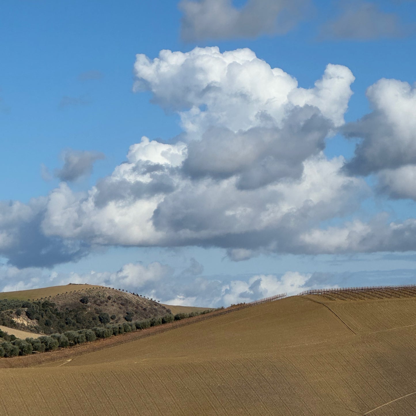 Hike your mind in Tuscany | November 16-23 | RESERVATION