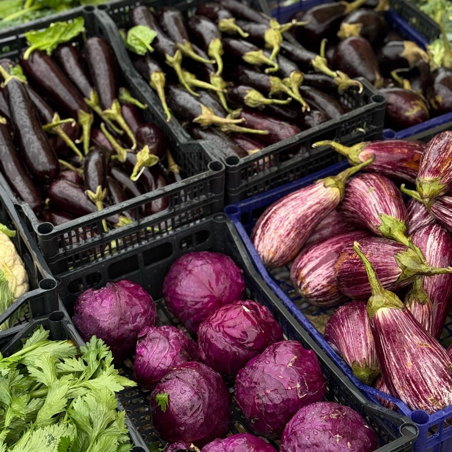 Hike your mind in Tuscany | November 16-23 | RESERVATION