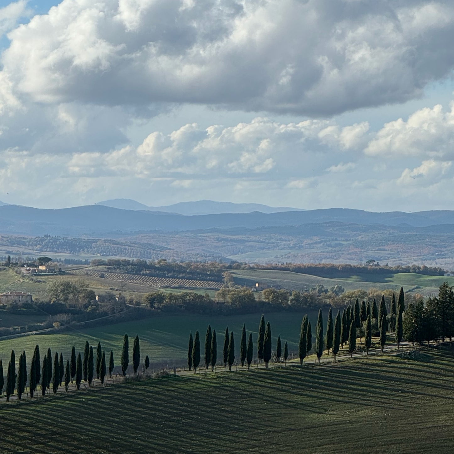Hike your mind in Tuscany | November 16-23 | RESERVATION