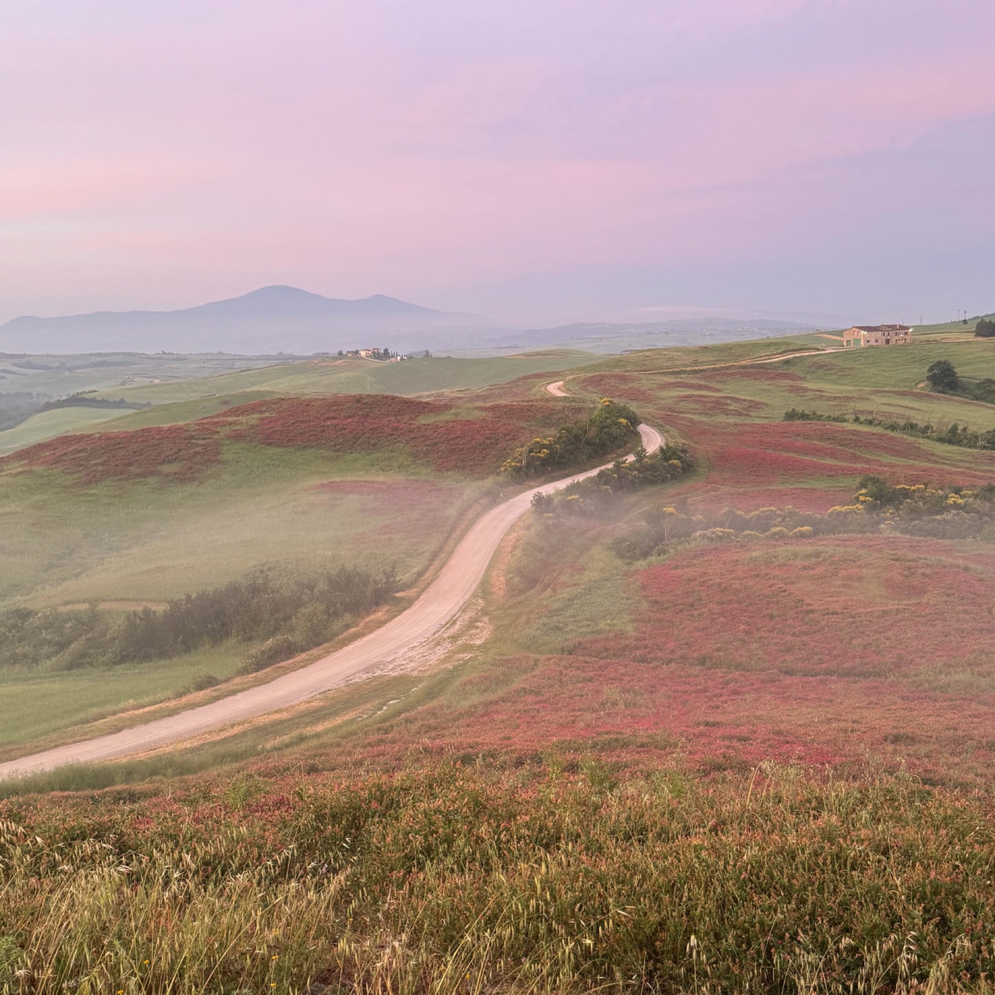Your expansiveness in the nature of Tuscany | 18–25 May | RESERVATION