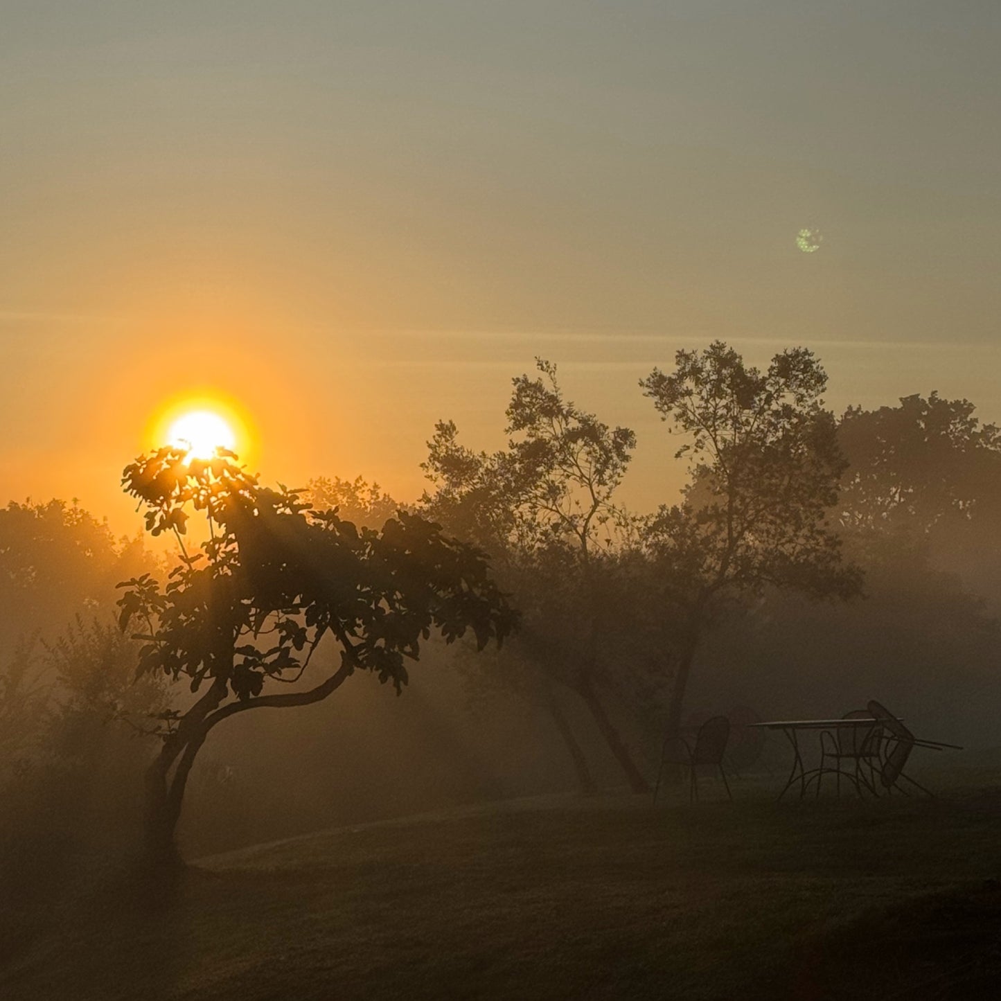 Your expansiveness in the nature of Tuscany | 18–25 May | RESERVATION