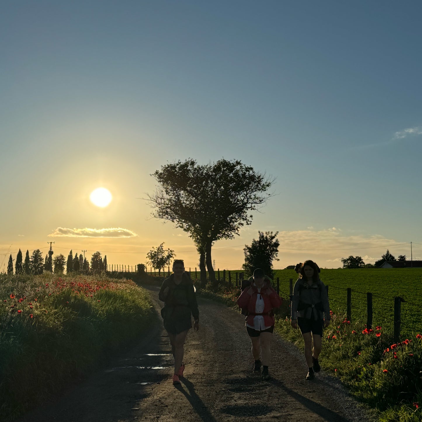 Hike your mind from Tuscany to Rome | April 28 - May 10 | RESERVATION