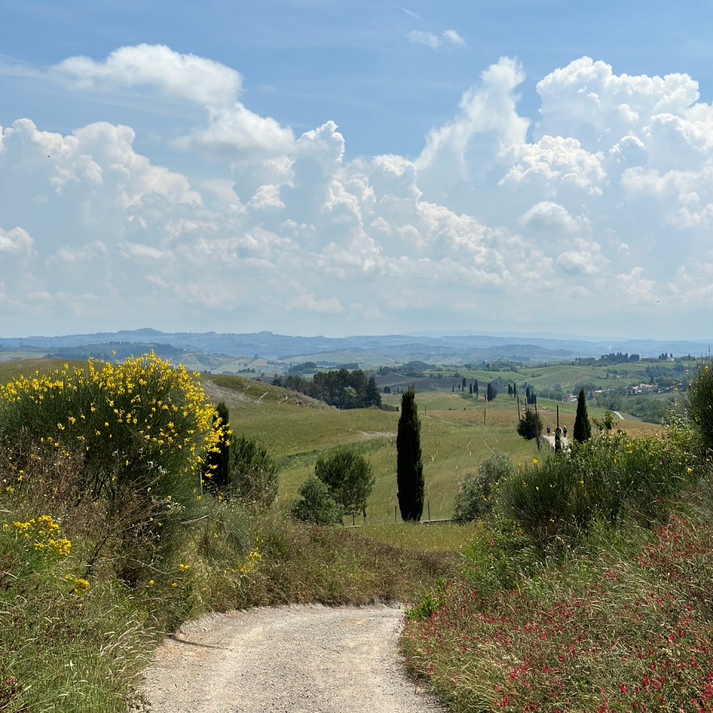 Hike your mind in Tuscany | May 23-30 | RESERVATION